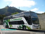 Expresos Flamingo 0009, por Jose L. Amundarain 