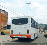 Lnea Motatn 03
