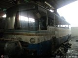 En Chiveras Abandonados Recuperacin AC0111, por Alejandro Curvelo