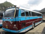 Transporte Las Delicias C.A. 43, por Pablo Acevedo