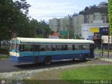 Ruta Metropolitana de Los Altos Mirandinos 17, por Jos Luis Mujica