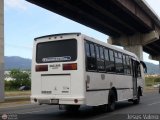 S.C. L�nea Transporte Expresos Del Chama 178