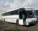 Expresos Los Andes 19