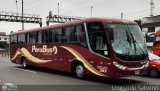 Empresa de Transporte Per Bus S.A. 383, por Leonardo Saturno