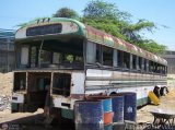 En Chiveras Abandonados Recuperacin Transporte Fatima