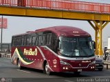 Empresa de Transporte Per Bus S.A. 449, por Leonardo Saturno