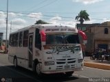 Ejecutivos Kova 081 por M�guel Pino