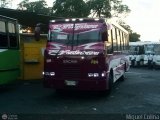 A.C. Portuguesa 382