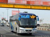 E.T. Maleo VIP (Per) 965