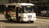 DC - Asoc. Conductores Criollos de La Pastora 038, por Pablo Acevedo
