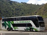 Expresos Flamingo 0001, por David Olivares Martinez