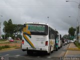 TransBolvar 139 Marcopolo Viale Mercedes-Benz OF-1721