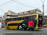 Transporte Flores Hermanos S.R.L (Per) 956