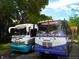 Colectivo Los Andes (Mrida - El Vigia) 24, por Kleyzer Caldern