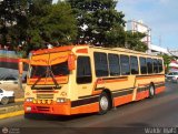 Transporte Unido (VAL - MCY - CCS - SFP) 024, por Waldir Mata