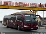 Empresa de Transporte Per� Bus S.A. 431, por Leonardo Saturno