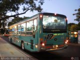 Lnea 17 S.A. 217, por Alfredo Montes de Oca