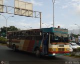 Cooperativa Canaima 09, por Waldir Mata