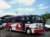 CA - Unin Campo Carabobo 031, por Aly Baranauskas