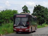 Bus Portuguesa 8951, por Alberto Bustamante