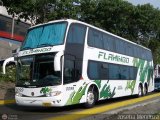 Expresos Flamingo 0099