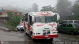 U.C. Caracas - El Junquito - Colonia Tovar 067, por Alexander Maldonado