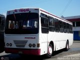 CA - Asociacin Coop. El Trigal R.L. 53, por Humberto Garzn