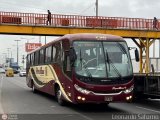 E.T. Per� Bus S.A. 736 por Leonardo Saturno