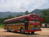 Transporte Colectivo Camag 02, por J. Carlos Gmez