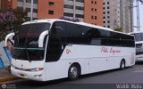 Peli Express 0002, por Waldir Mata