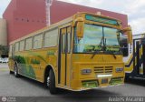 ZU - Colectivos Concepcin 043