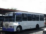 Unin Tchira 970, por Aly Baranauskas