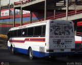Expresos Los Morros 01