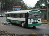 MI - U.C. San Charbel 13, por Alfredo Montes de Oca