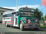 Transporte Doa Cira 017, por J. Carlos Gmez
