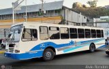 Transporte Unido (VAL - MCY - CCS - SFP) 013, por Alvin Rondn