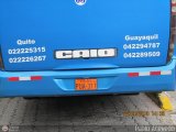 Detalles Acercamientos NO USAR MS