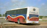 Expresos Occidente 149