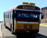 Colectivos Cachiri 25