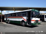 Lnea Sanare 12