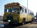 ZU - Colectivos Concepcin 010