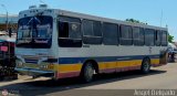 Colectivo San Rafael (El Mojn) 16