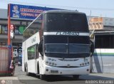 Expresos Flamingo 0071 por Andr�s Ascanio