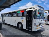 Transporte Bonanza 0004 por Jos� Dudamel