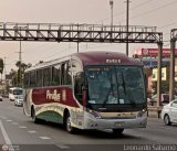 Empresa de Transporte Per Bus S.A. 661