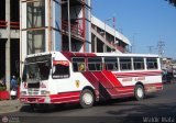 AN - Transcar 05 02