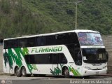 Expresos Flamingo 0341, por David Olivares Martinez