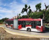 Bus CCS 1013, por Waldir Mata