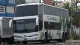 Expresos Flamingo 0183
