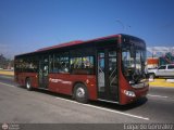 Bus GuarenasGuatire 6832, por Edgardo Gonzlez